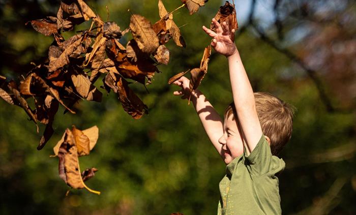 Autumn family visits to Dyffryn Gardens
